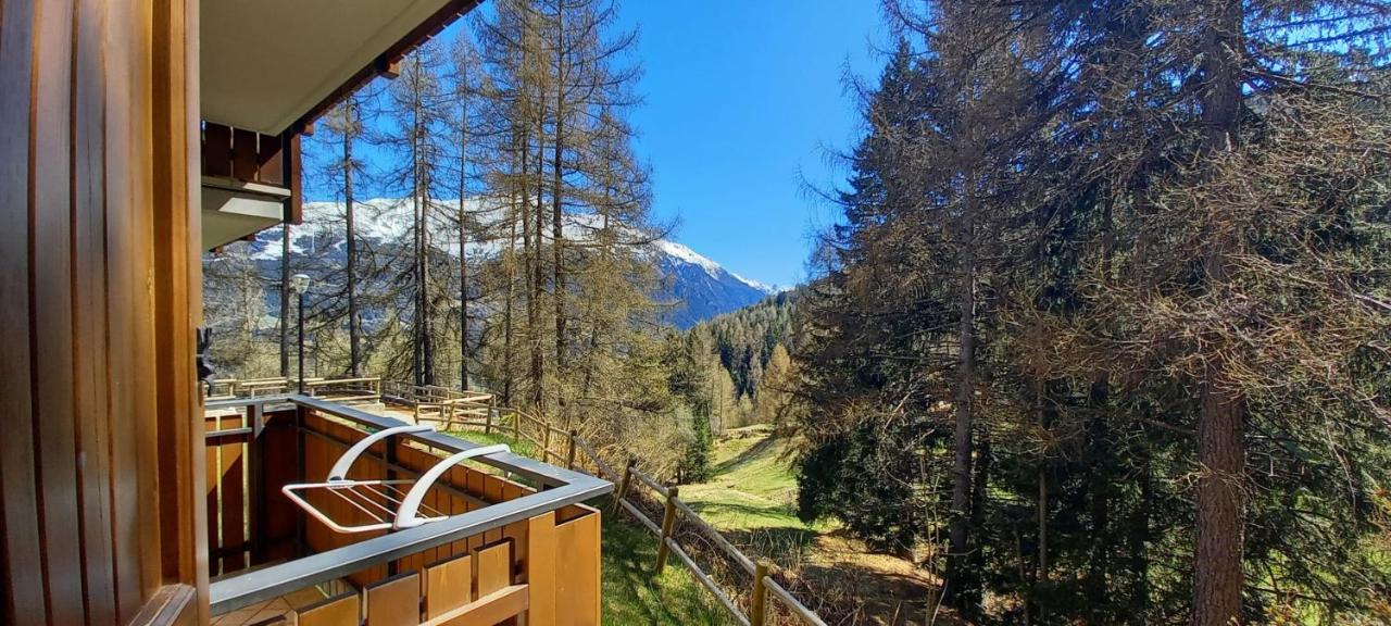 Stelviostay Residence Stelvio Valdisotto Kültér fotó
