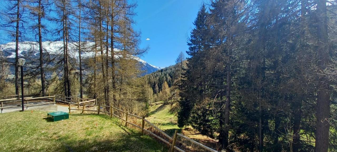 Stelviostay Residence Stelvio Valdisotto Kültér fotó