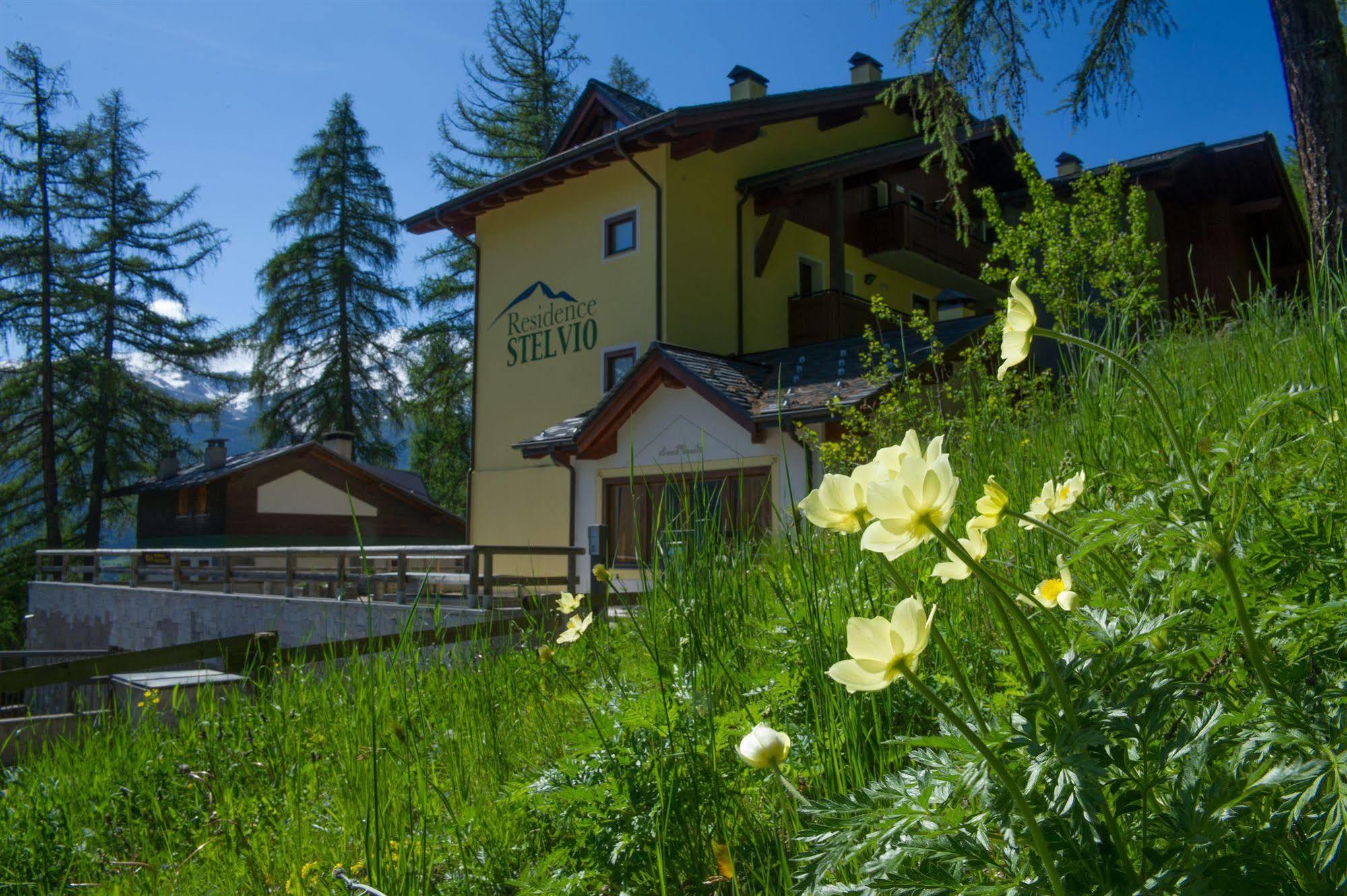 Stelviostay Residence Stelvio Valdisotto Kültér fotó